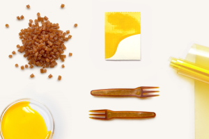 Startup: biobased and home compostable plastics with Traceless Materials