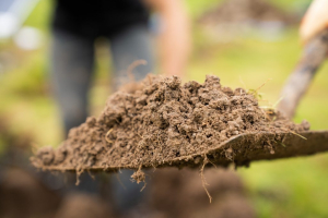 Startup: meteorizzazione arricchita per il sequestro di CO2 con UnDo