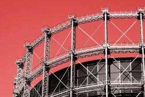 Un ordinato mondo caotico