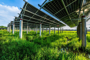 Agrivoltaico per risolvere la competizione tra energia e cibo