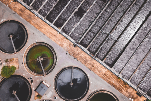 Fertilizzante dalla pipì: un nuovo studio per il riciclo dell’urina