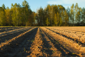 Uso del suolo e CO₂, il GHG Protocol colma il vuoto negli inventari aziendali