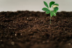 Verso un’economia circolare: settima edizione del Premio di eccellenza nazionale