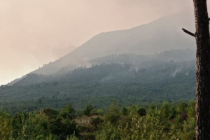 Incendi sul Vesuvio, 830 ettari bruciati ma cresce la rete civica di protezione