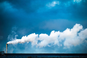 Rimozione della CO₂: l'UE ora punta su obiettivi distinti e integrazione nell'ETS?