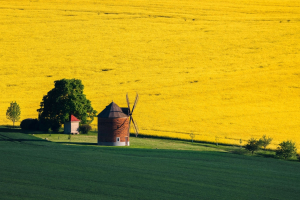 Back to the Circular: energia motore di circolarità