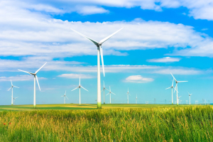 Torna a Parma il Festival della Green Economy 