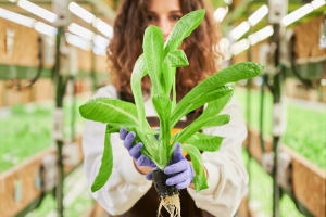 Bioeconomia, le 7 startup selezionate da Terra Next per il programma di accelerazione