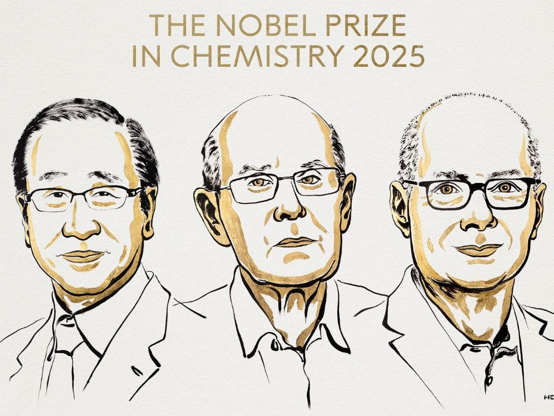 Premio Nobel per la chimica 2025 a Kitagawa, Robson e Yaghi
