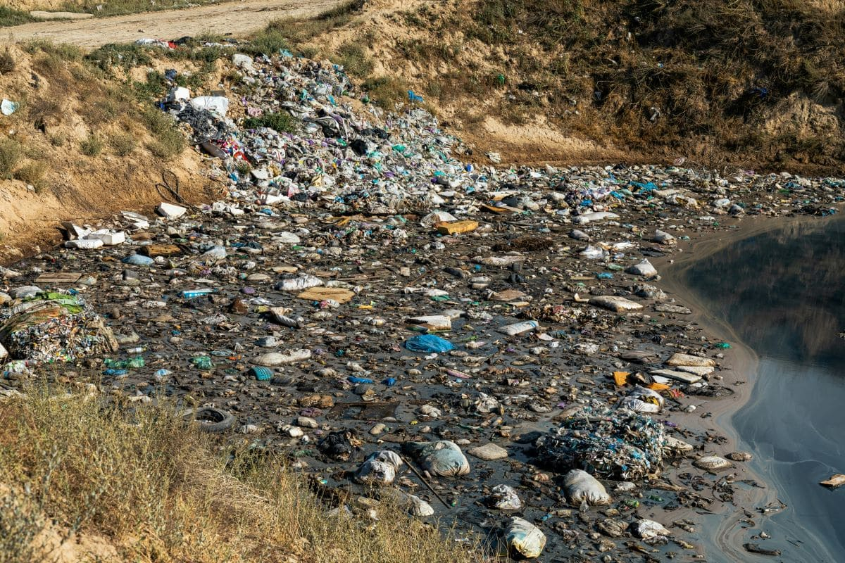 Rapporto Ecomafia 2025: reati ambientali in crescita ed è allarme corruzione