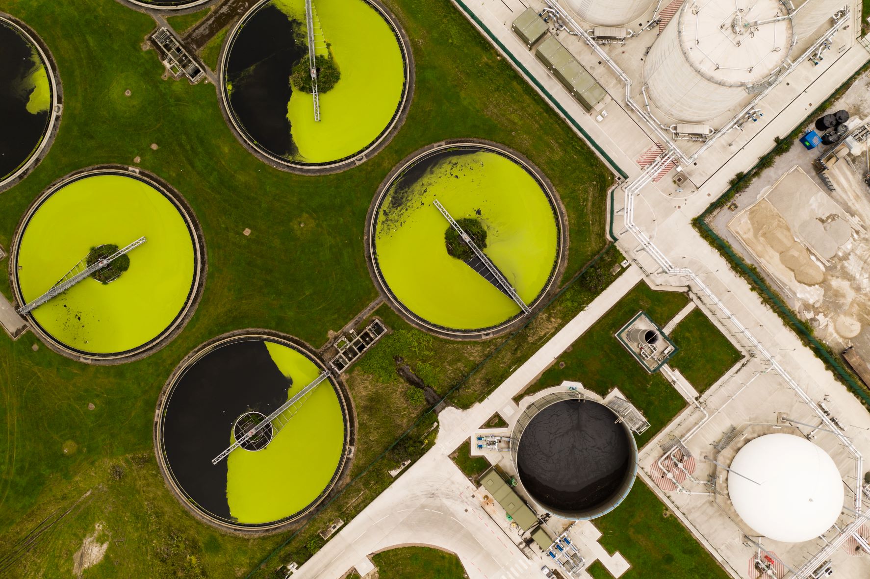Startup: clean water and energy from wastewater with Wase