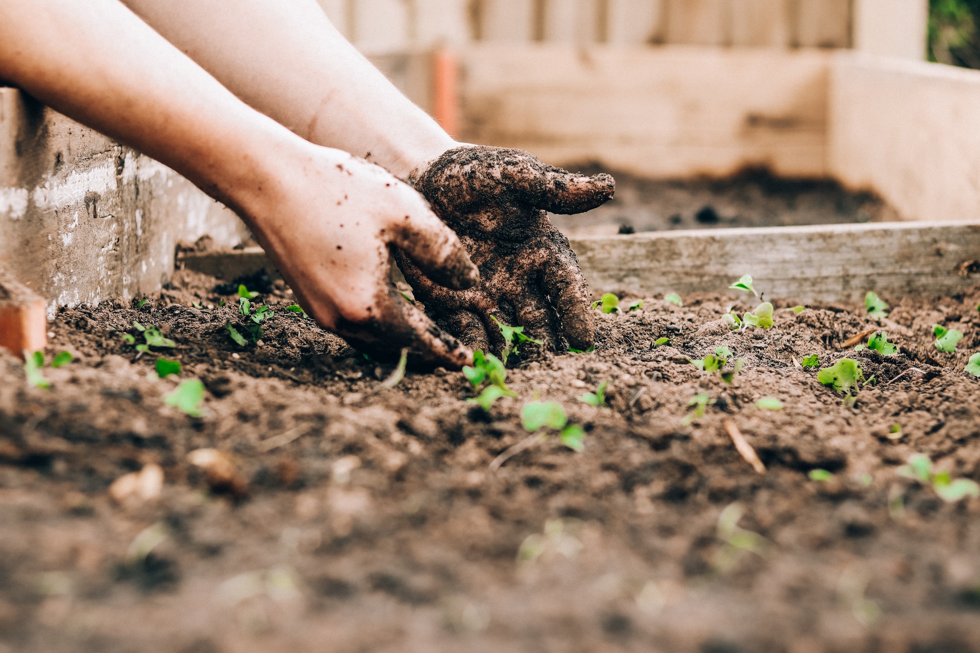 Gli USA introducono il COMPOST Act, un passo avanti per la conservazione del suolo