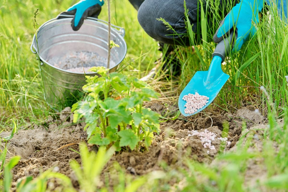Startup: NitroCapt develops sustainable nitrogen fertilisers Materia ...