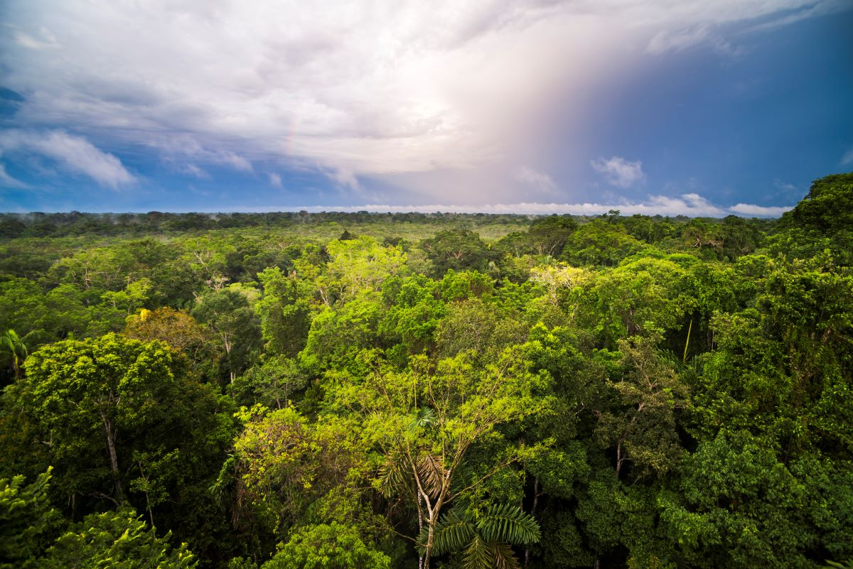 Sud America, cresce l’interesse per il petrolio e diminuisce quello per l’ambiente
