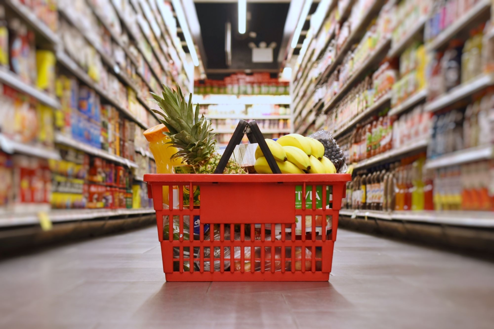 The true cost of our food