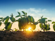 BioInvestIT 2026, capitali e ricerca per la bioeconomia