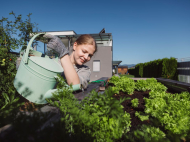 Growing the city: the urban carbon farming revolution