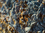 Fusione tra Terradot ed Eion, polvere di roccia contro la CO₂