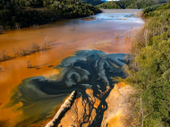 Report IPBES 2026: il business as usual distrugge la biodiversità, ma salvarla conviene anche alle aziende