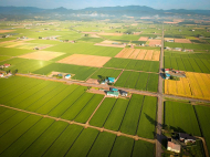 Il GHG Protocol lancia il primo standard globale per misurare gli impatti dell’agricoltura