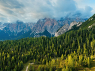 Legacoop Agroalimentare e Legambiente, intesa strategica per i boschi italiani