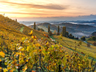 Massimo Labra: “Biodiversity is Italy's real productive asset”