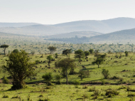 Northern Kenya Rangelands Carbon Project, carbon market per il suolo