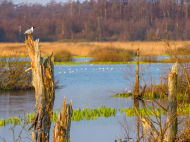 Europe cannot afford to weaken its water protection laws 