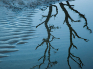 The OECD Reshapes the Global Water Agenda: What Is Its Legitimacy?