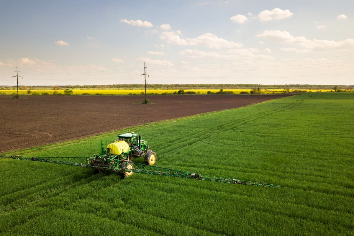 Azoto in agricoltura, un uso sostenibile aumenta la sicurezza alimentare e ambientale