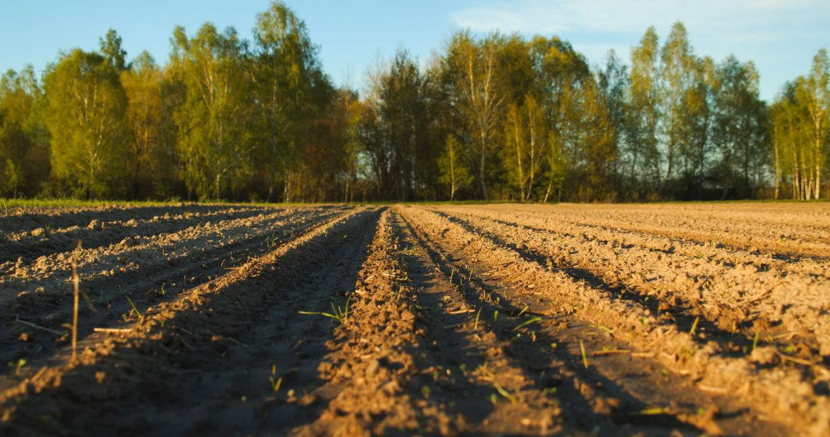 Uso del suolo e CO₂, il GHG Protocol colma il vuoto negli inventari aziendali