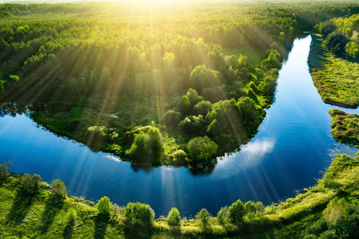 World Environment Day 2026: A Global Call for Climate Action