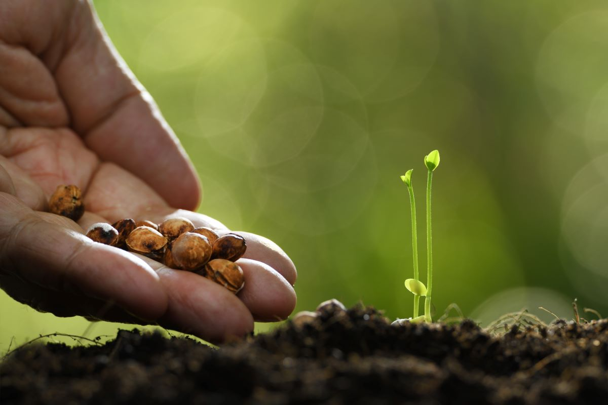COP16 tra biodiversità e cibo per riformare il settore agroalimentare